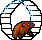 LadyKorn's Avatar