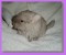 firefox2's Avatar