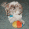 skpaw's Avatar