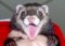 ruhappytoseeme's Avatar