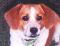 ILuvMyDaisy's Avatar