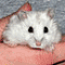 Bathsheba069's Avatar