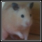 Glowmus's Avatar