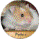 Potus's Avatar