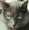smokey0807's Avatar