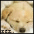 puppydoggirl21's Avatar