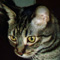 jaqi's Avatar