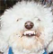 Eino's Avatar