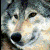 voxmel's Avatar