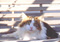 tiniestmunchkin's Avatar