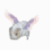 fewpets's Avatar