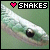 whalelover's Avatar