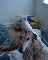 skinnypups's Avatar