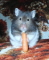 TeenierExpression's Avatar