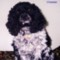 jotofly's Avatar