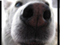 swimma253's Avatar