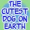 GoldenRetrieverLover_01's Avatar