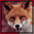 Mandy1's Avatar