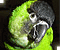 Fur&Feathers's Avatar