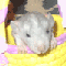 EricLove's Avatar