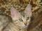 Mary M.'s Avatar