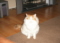 iwantatwinkie's Avatar
