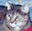 Diana and TC's Avatar