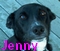 Greyhound~lover's Avatar