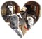 shawsdanes's Avatar