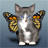 veno**13's Avatar