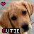 Huskylover95's Avatar