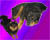 LilacDragon's Avatar