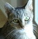 engsohere's Avatar