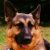kishaya's Avatar