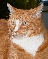artistnan's Avatar