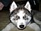 jng2985's Avatar