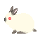 Bunnicula05's Avatar