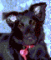 Deb Motter's Avatar