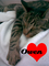 MissCherry's Avatar