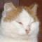 marenko_ale's Avatar