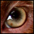 veegan's Avatar