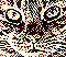 jonza's Avatar