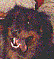 clara4457's Avatar