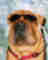 ctagavilla's Avatar