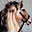 Equinebehaviorist's Avatar