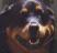 I Love Brian, Forever <3's Avatar