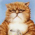 mesiecat's Avatar