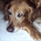 Gone Doggin''s Avatar