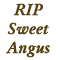 Angus's Dad's Avatar