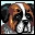 budgie's Avatar
